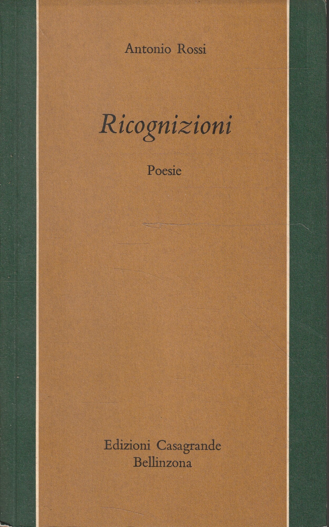 Ricognizioni