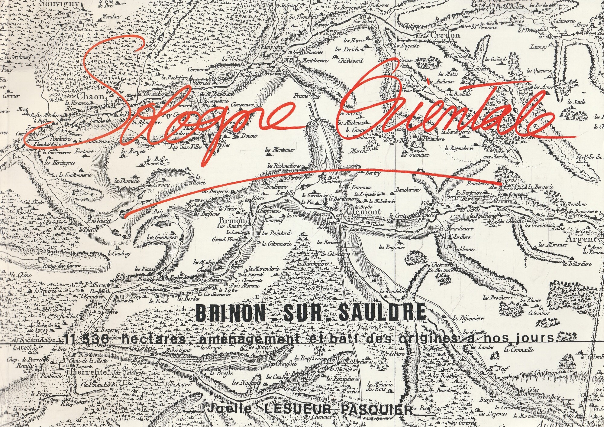 Sologne Orientale. Brinon-sur-sauldre, 11 538 hectares, aménagement et bati des …