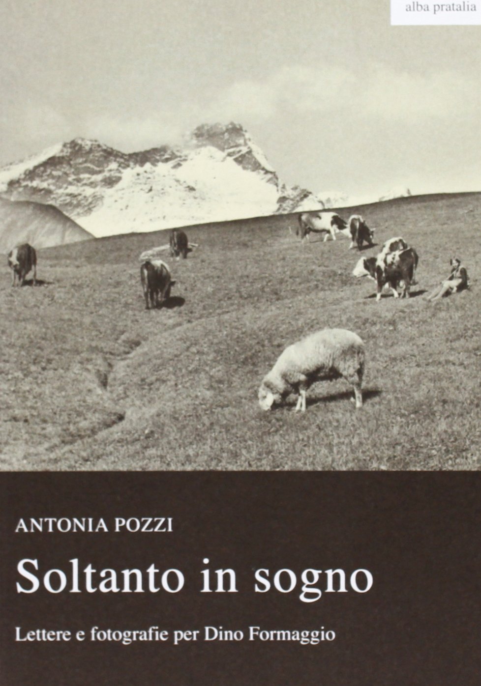 Soltanto in sogno. Lettere e fotografie per Dino Formaggio