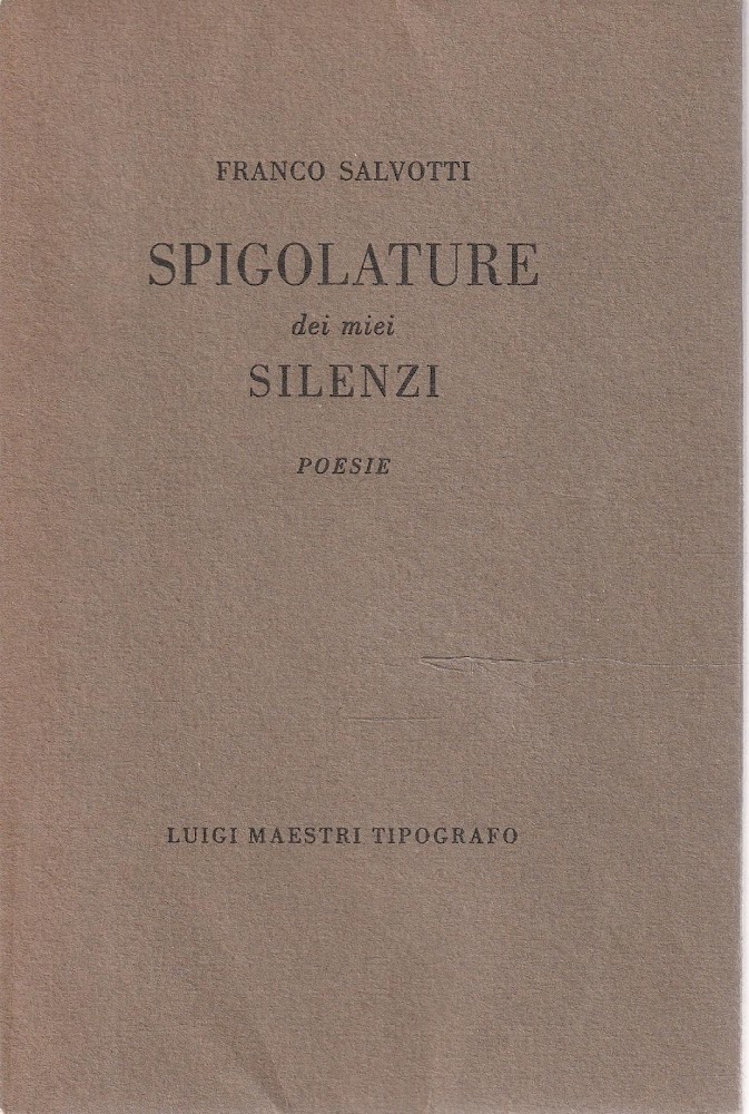 Spigolature dei mei silenzi. Poesie