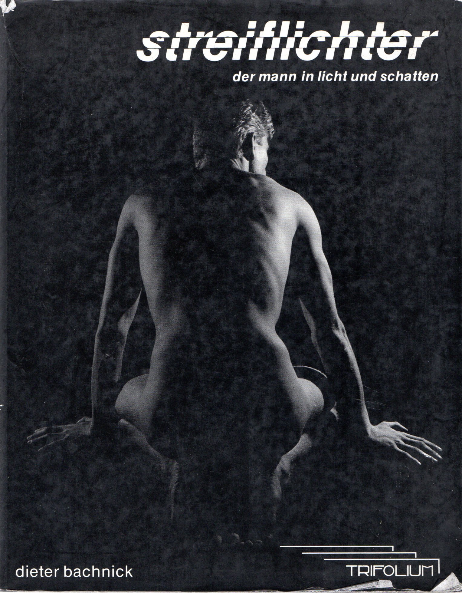 Streiflichter : der Mann in Licht und Schatten : ein …