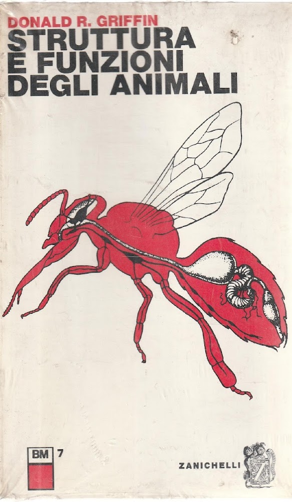 Struttura e funzioni degli animali