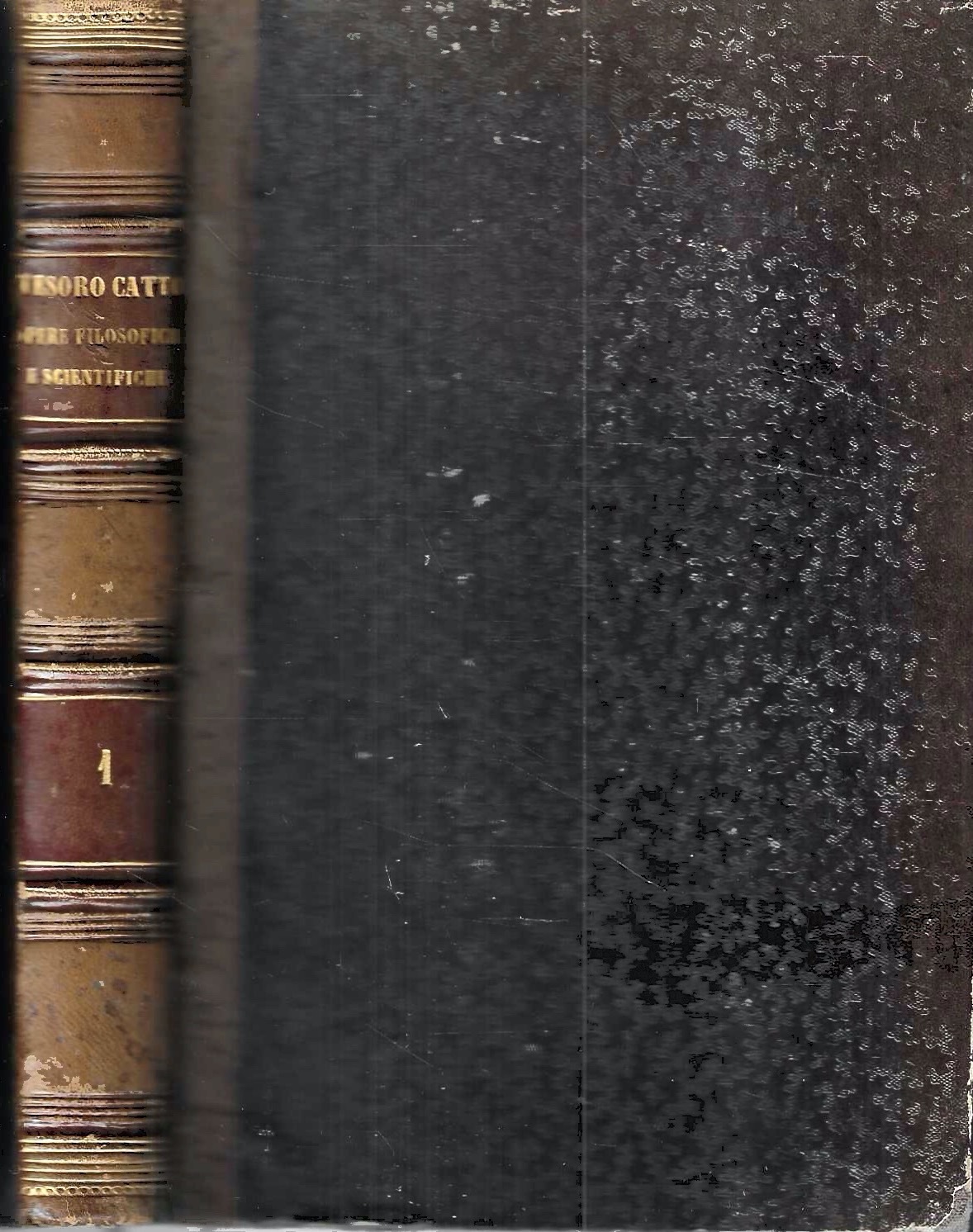 Tesoro cattolico delle opere filosofiche e scientifiche, Vol.1: I fondamenti …