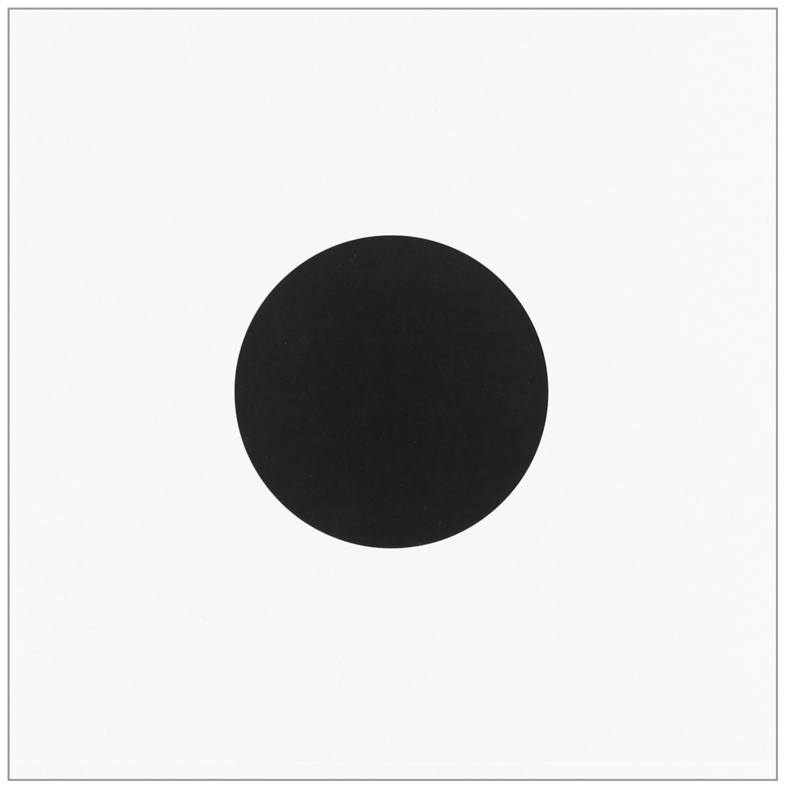 The circle [Lingua inglese]