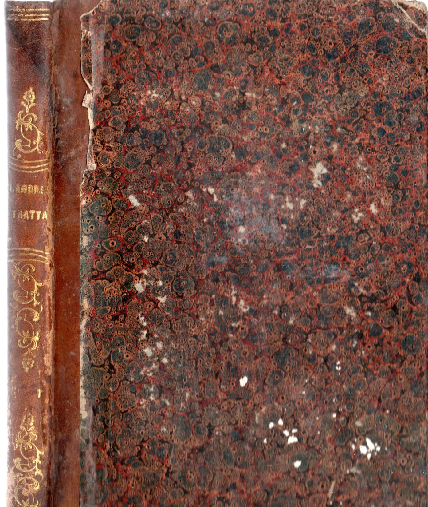 Trattato dei figli naturali