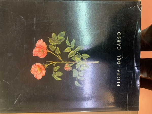 FLORA DEL CARSO
