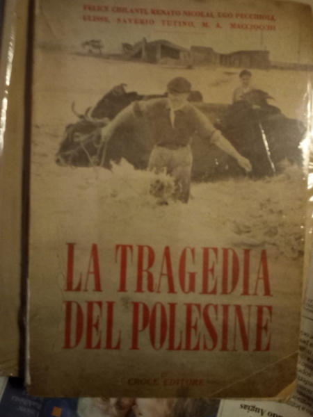 La tragedia del Polesine,