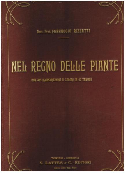 Nel regno delle piante,