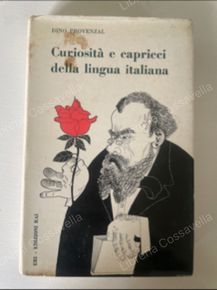 Curiosità e capricci della lingua italiana