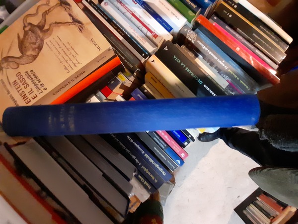 San Remo rinnovellata. Memorie storiche contemporanee.