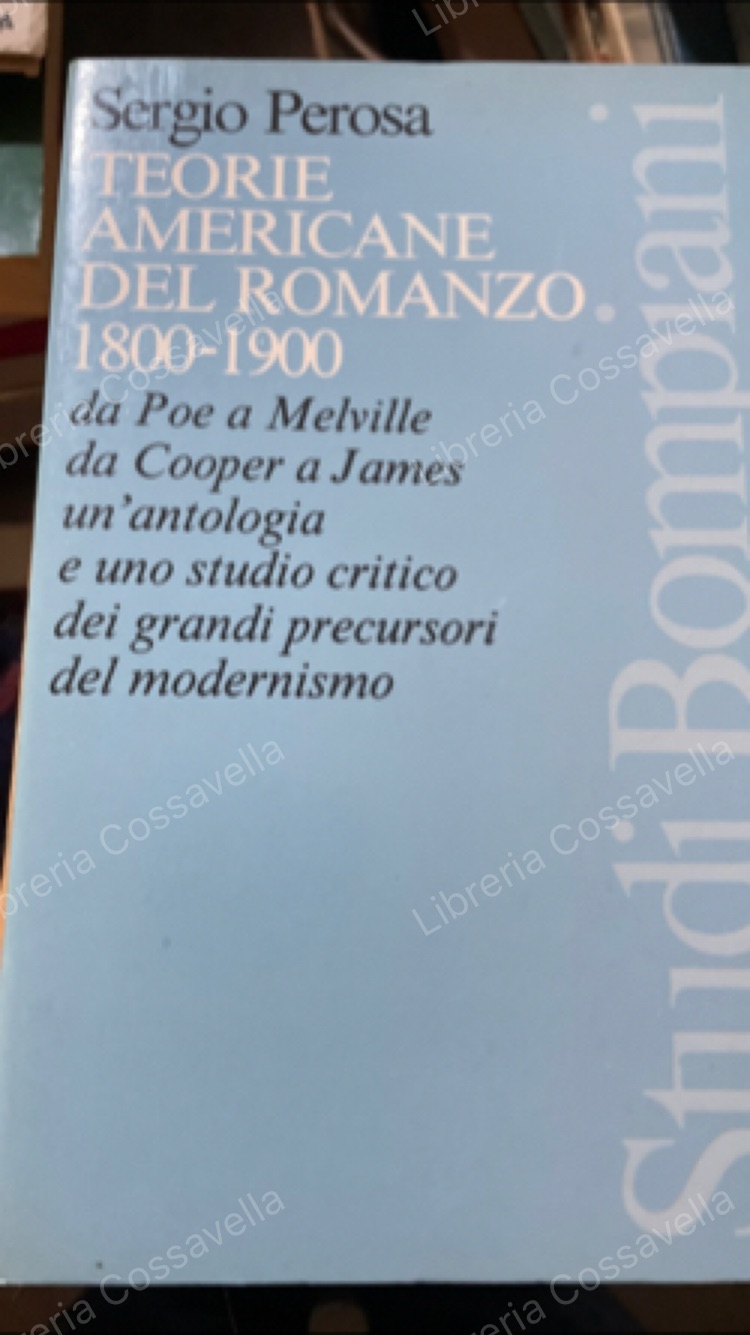 Teorie americane del romanzo 1800 - 1900