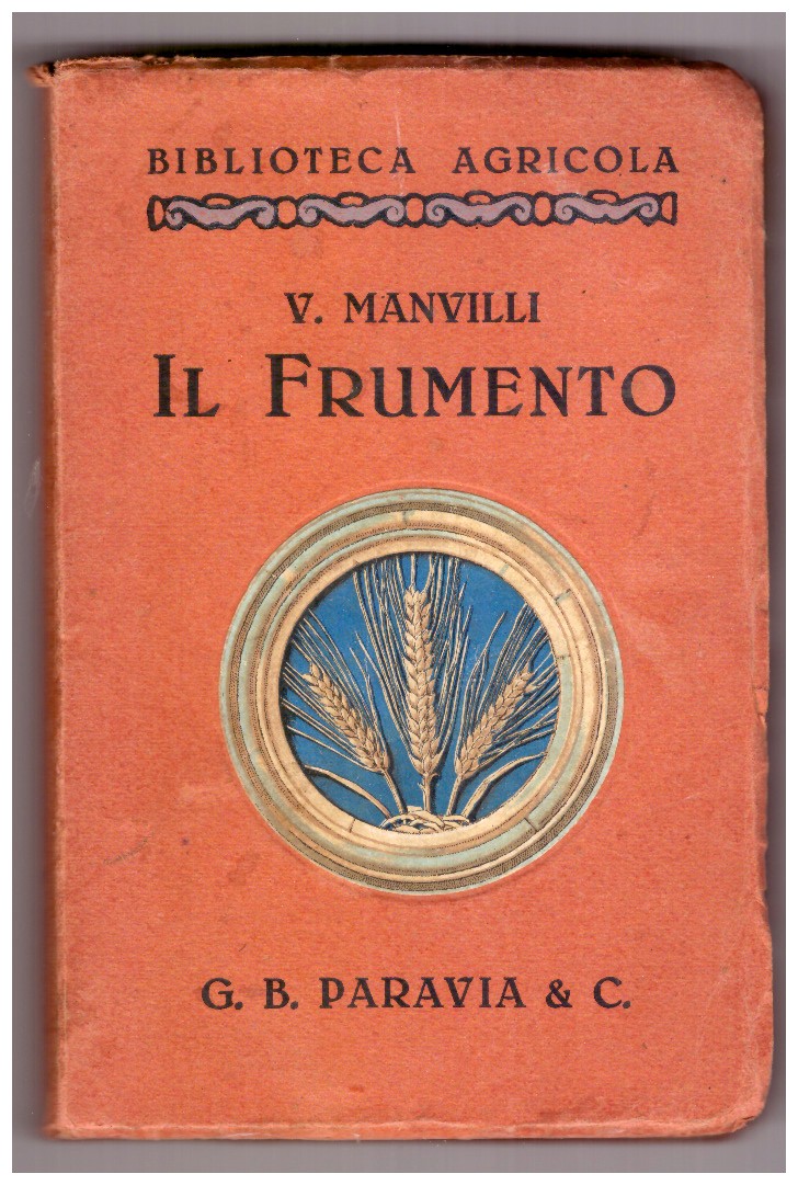 IL FRUMENTO.