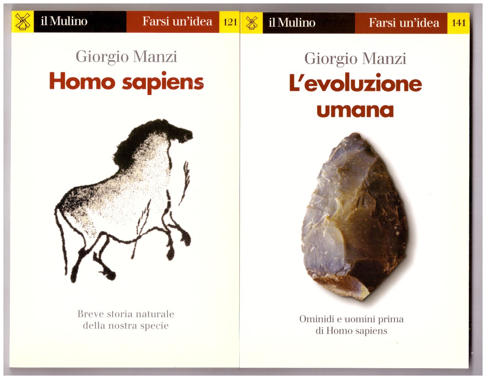 L'EVOLUZIONE UMANA. Ominidi e uomini prima di Homo sapiens. + …