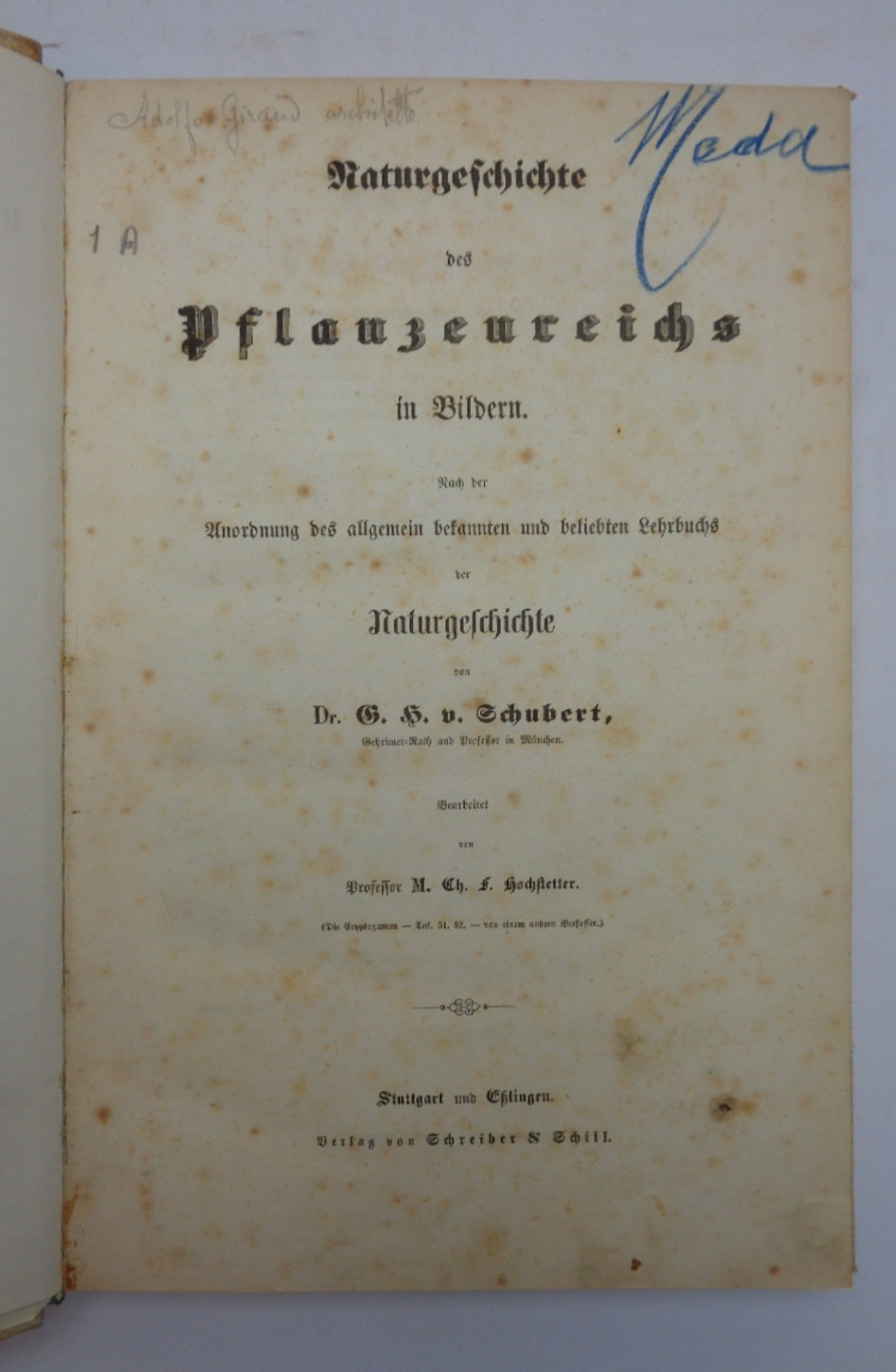 NATURGESCHICHTE DES PFLANZENREICHS IN BILDERN, Nach der Anordnung des allgemein …