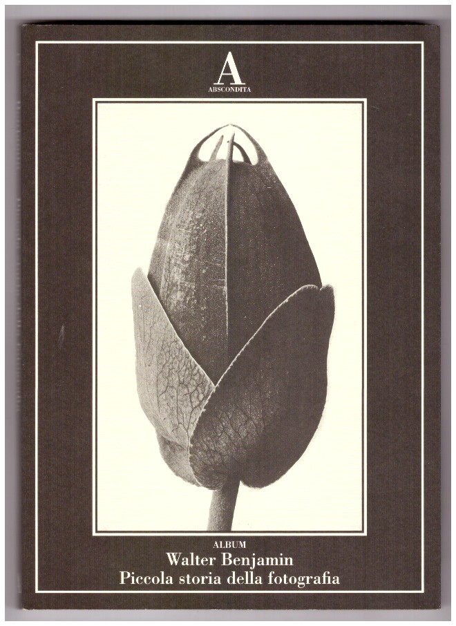 PICCOLA STORIA DELLA FOTOGRAFIA