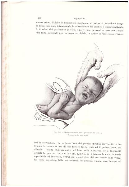 Trattato completo di Ostetricia ad uso degli Studenti e dei …