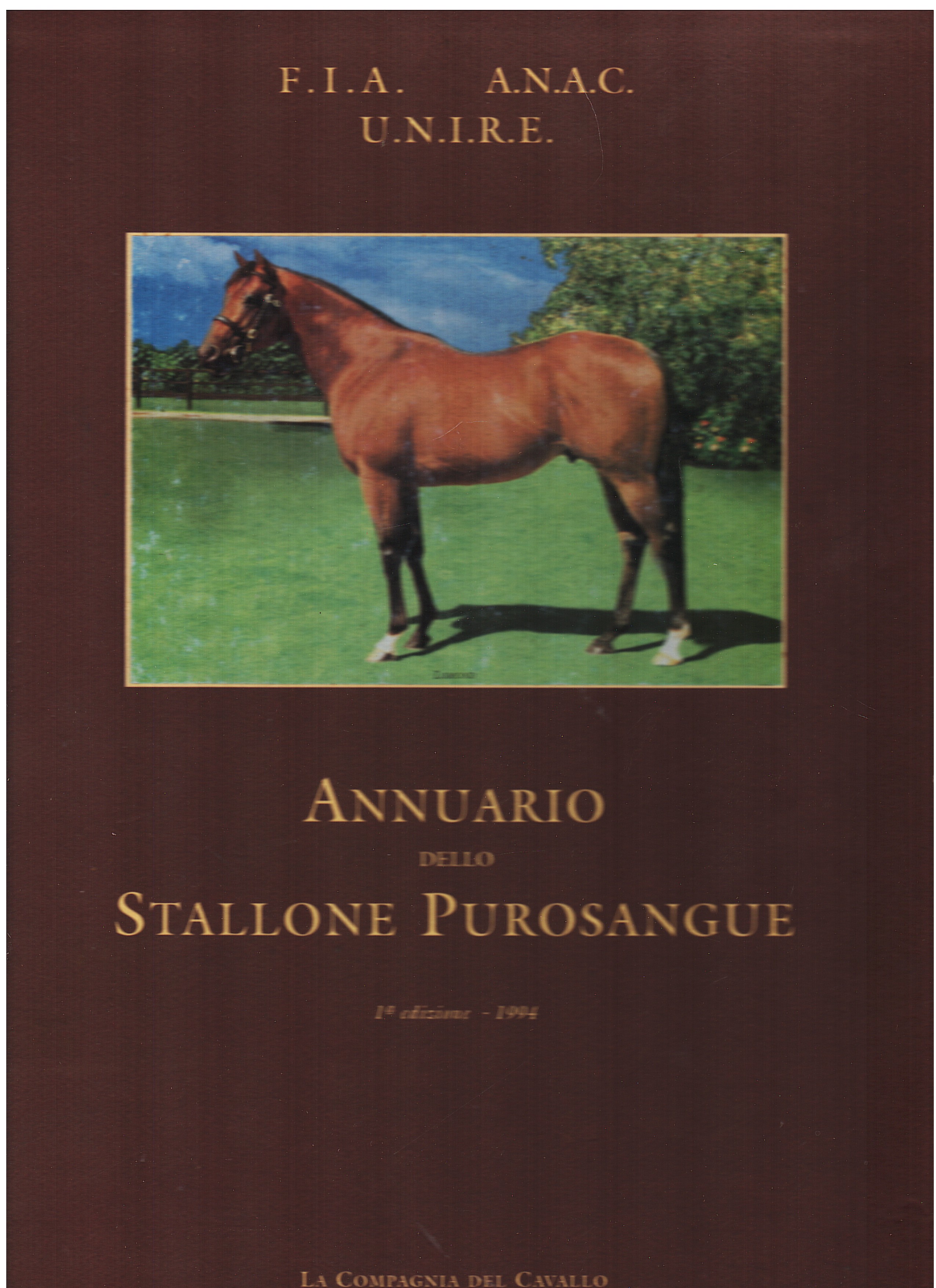 Annuario dello stallone purosangue