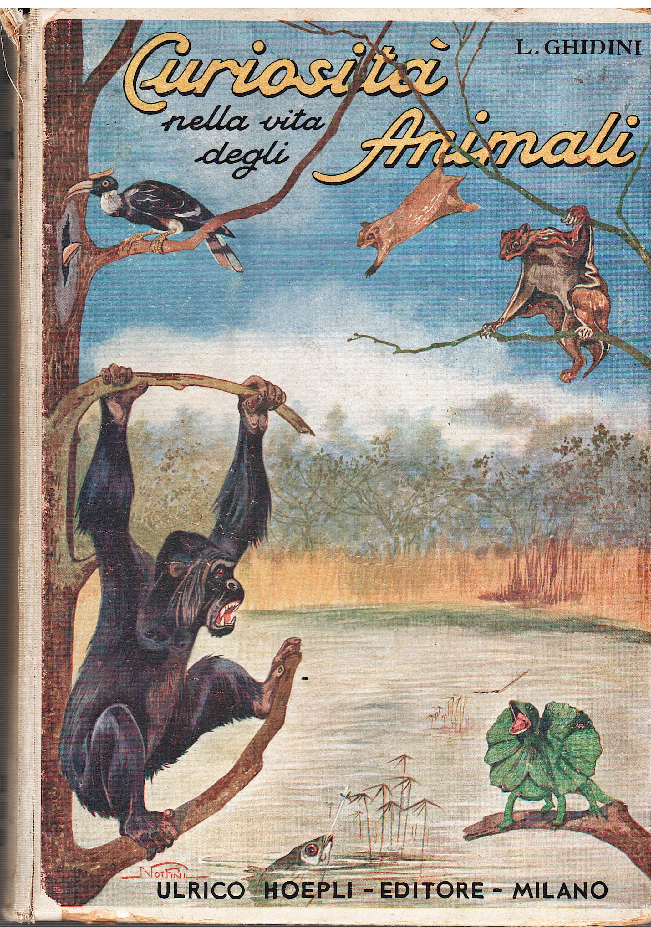Curiosità nella vita degli Animali