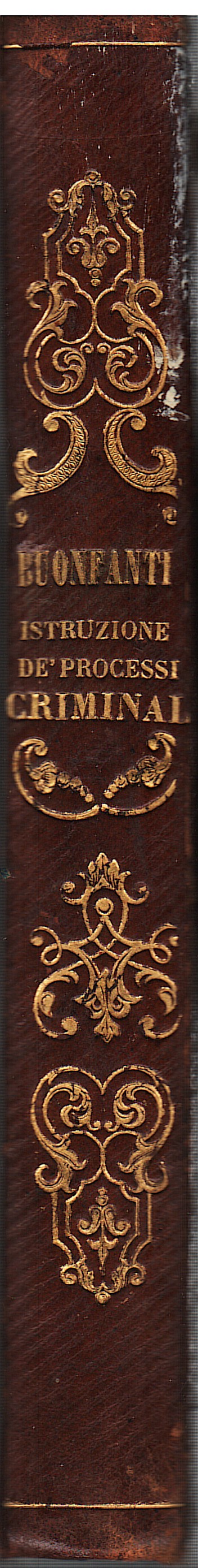 Della istruzione de' processi criminali in Toscana. Commentario.