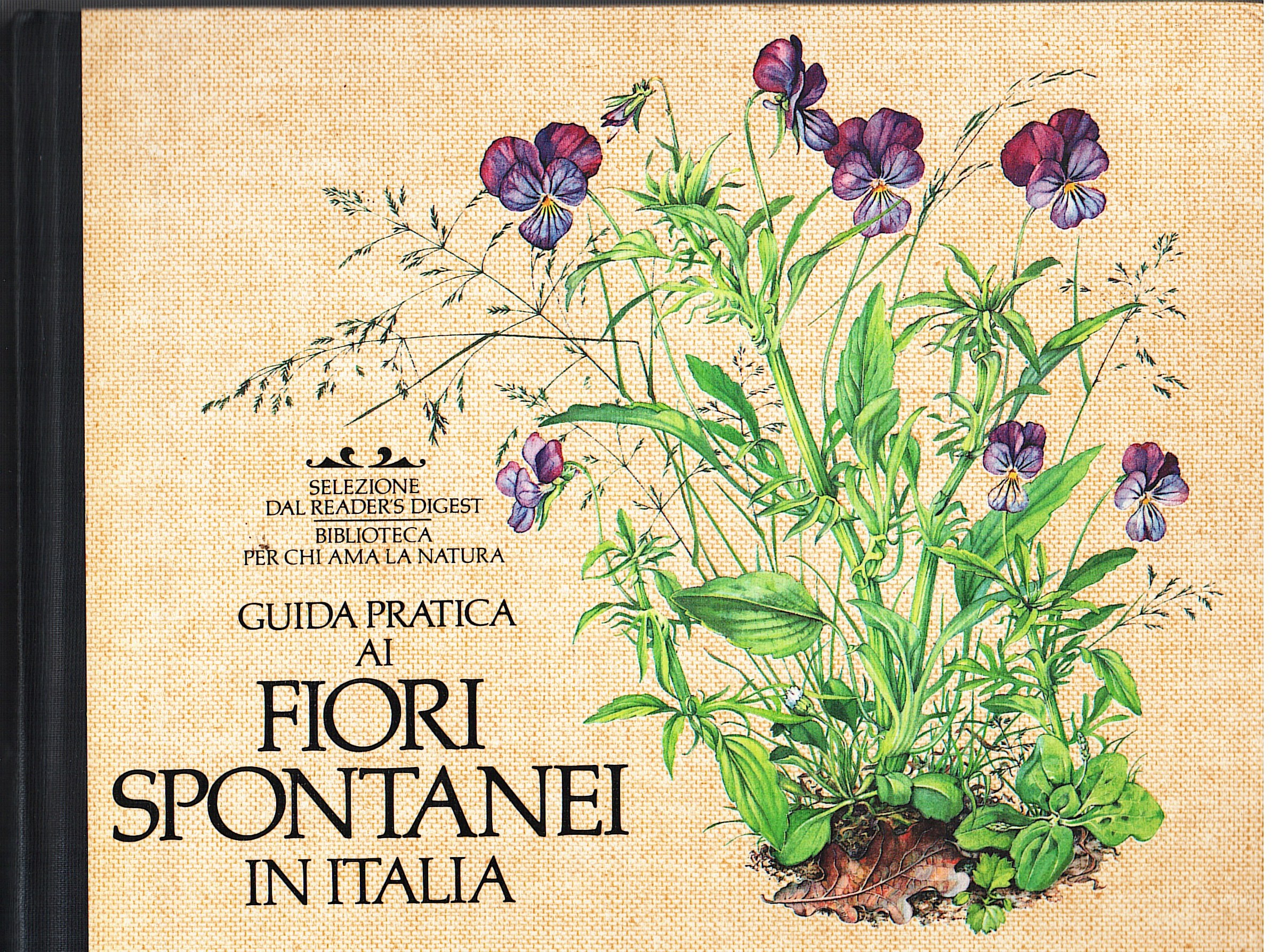 Guida pratica ai fiori spontanei in Italia