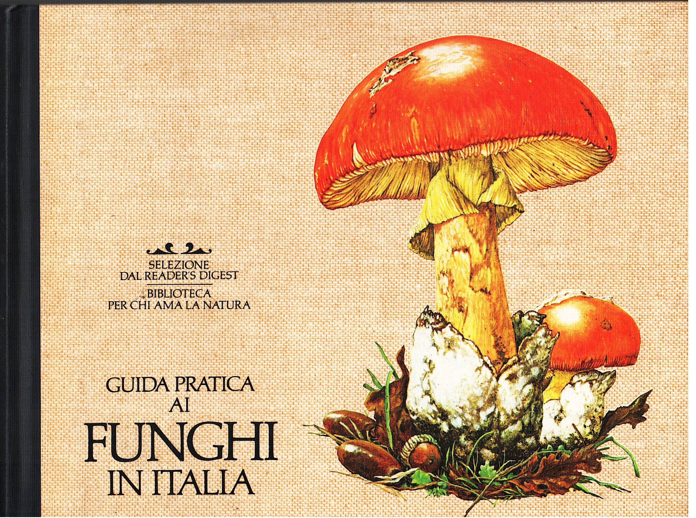 Guida pratica ai funghi in Italia