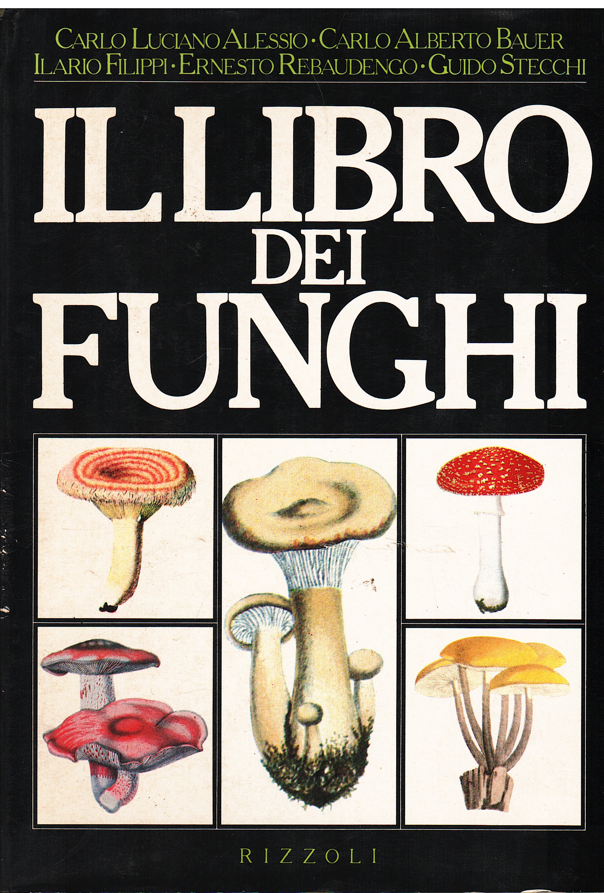 Il Libro dei Funghi