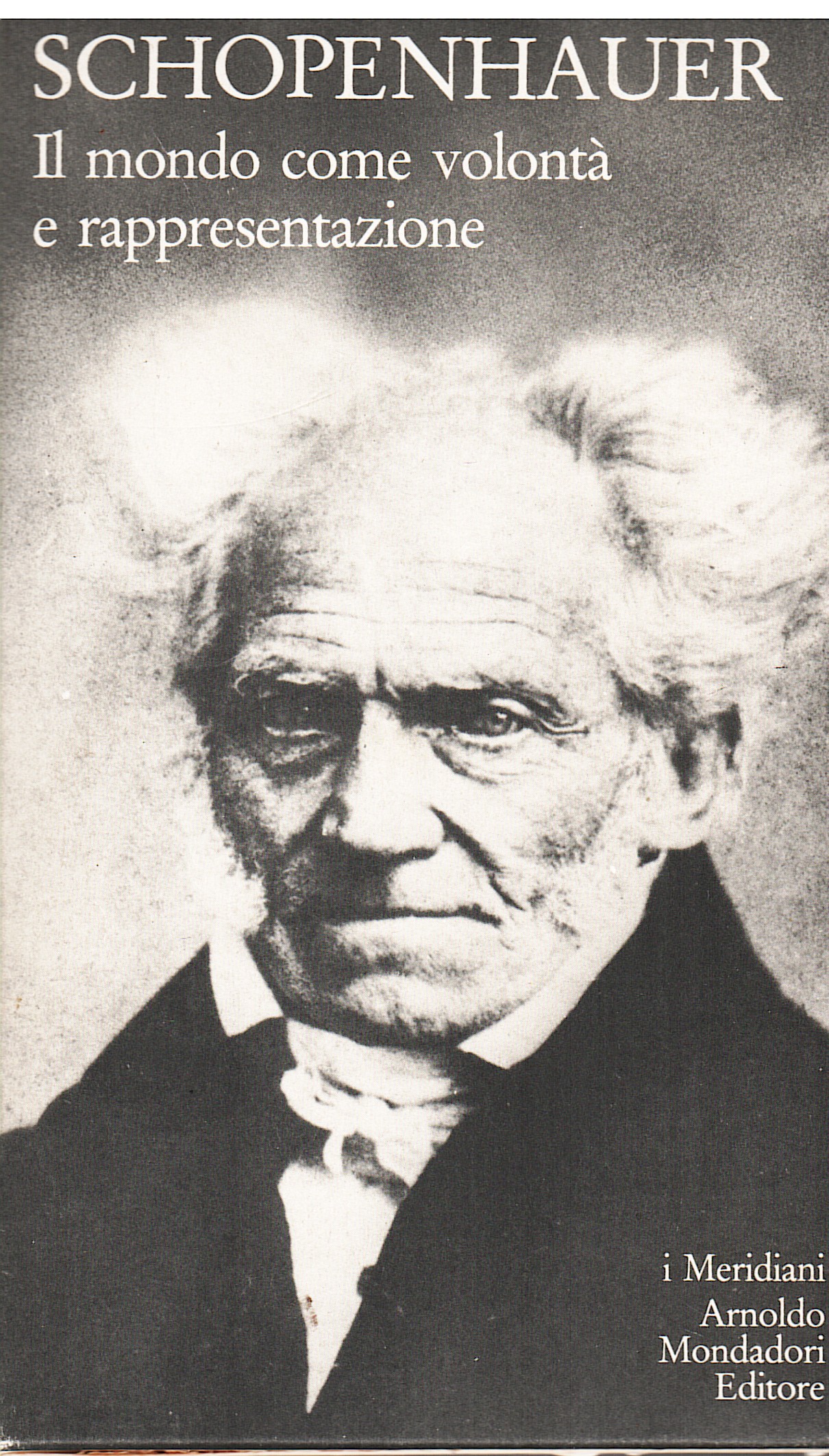 Il mondo come volontà e rappresentazione