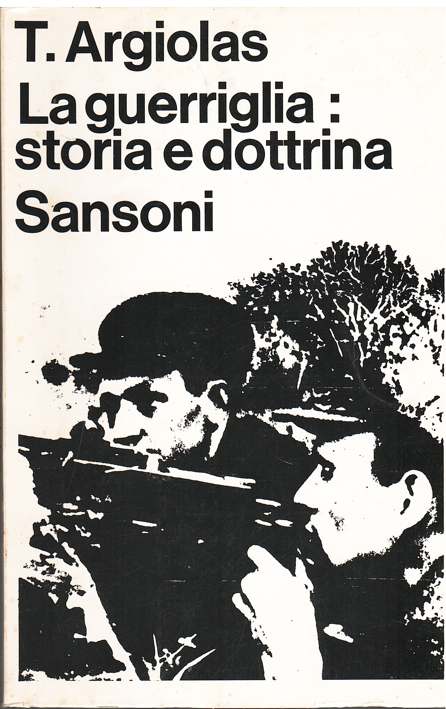 La guerriglia: storia e dottrina