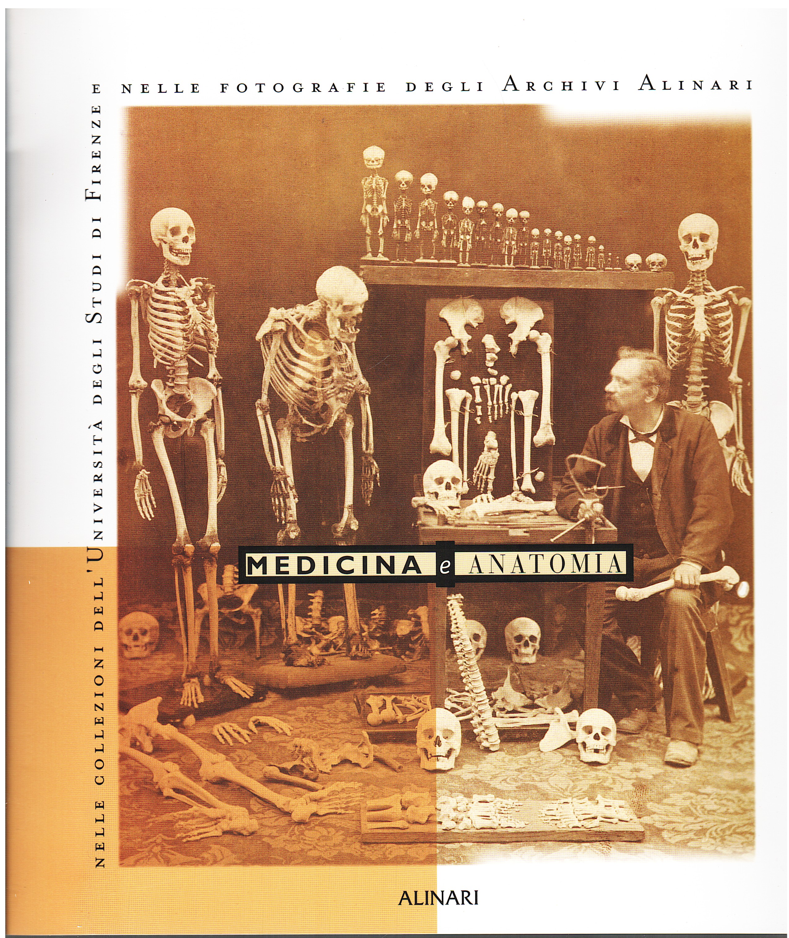 Medicina e anatomia nelle collezioni dell'Università degli Studi di Firenze …