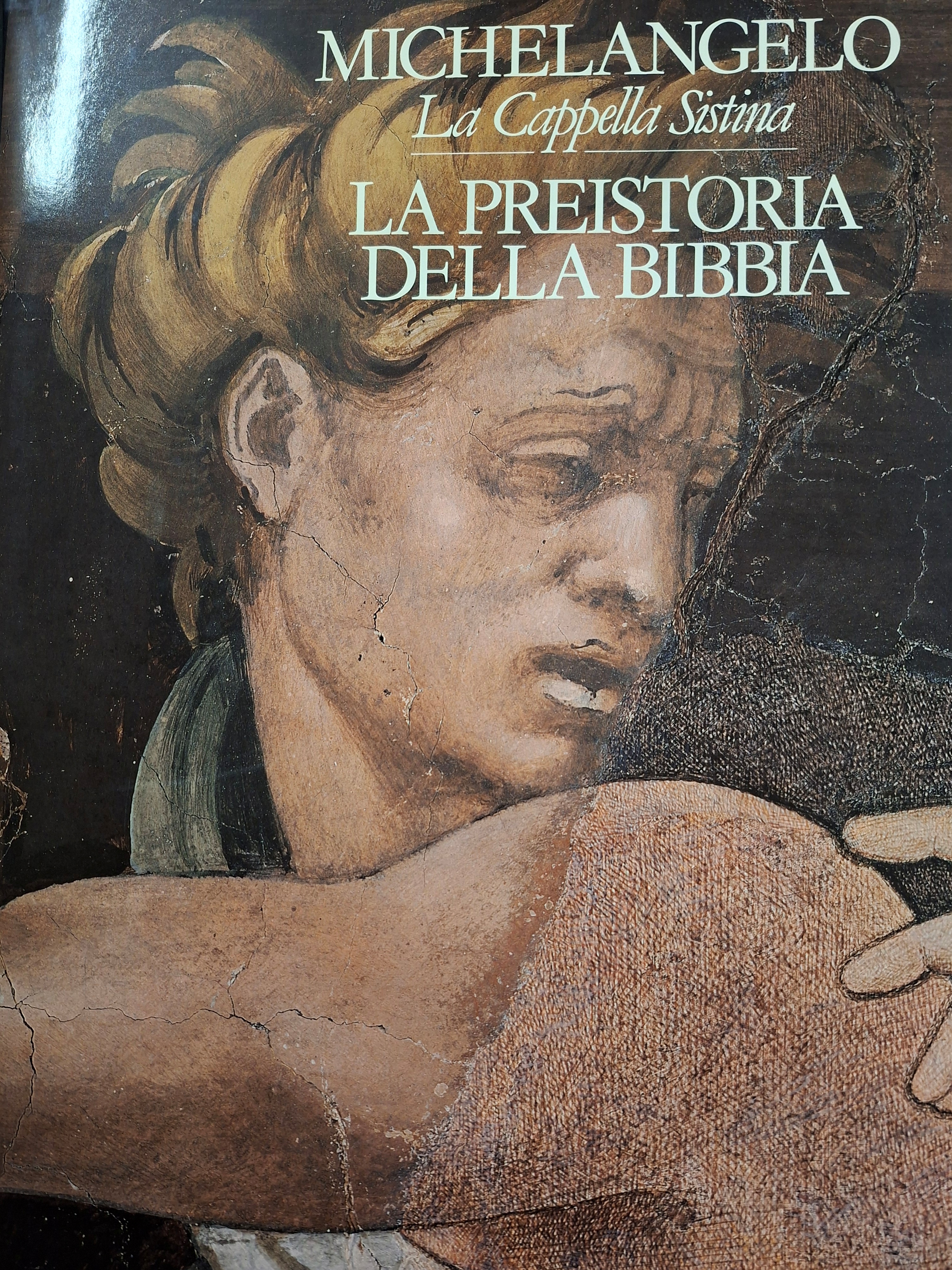 Michelangelo. La Cappella Sistina