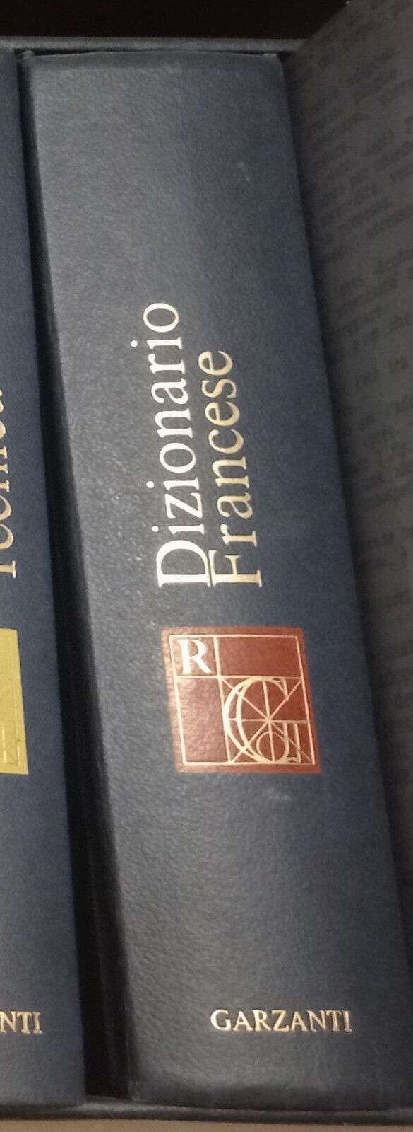 Dizionario Francese