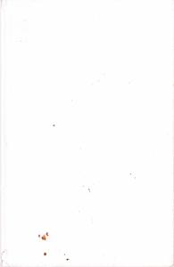 I Medici, Lorenzo il Magnifico