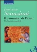 Il cammino di Pietro. Meditazioni evangeliche