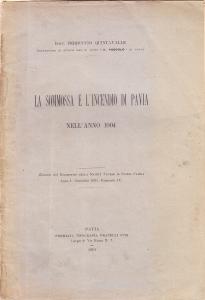 La sommossa e l'incendio di Pavia nell'anno 1004