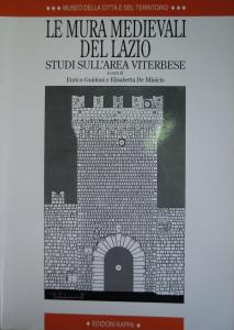 Le mura medievali del Lazio. Studi nell'area viterbese
