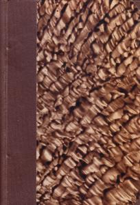 Studi sulla Divina Commedia