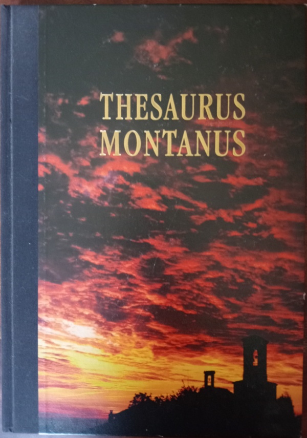 Thesaurus montanus. I Beni Architettonici e Artistici della Comunità Montana …