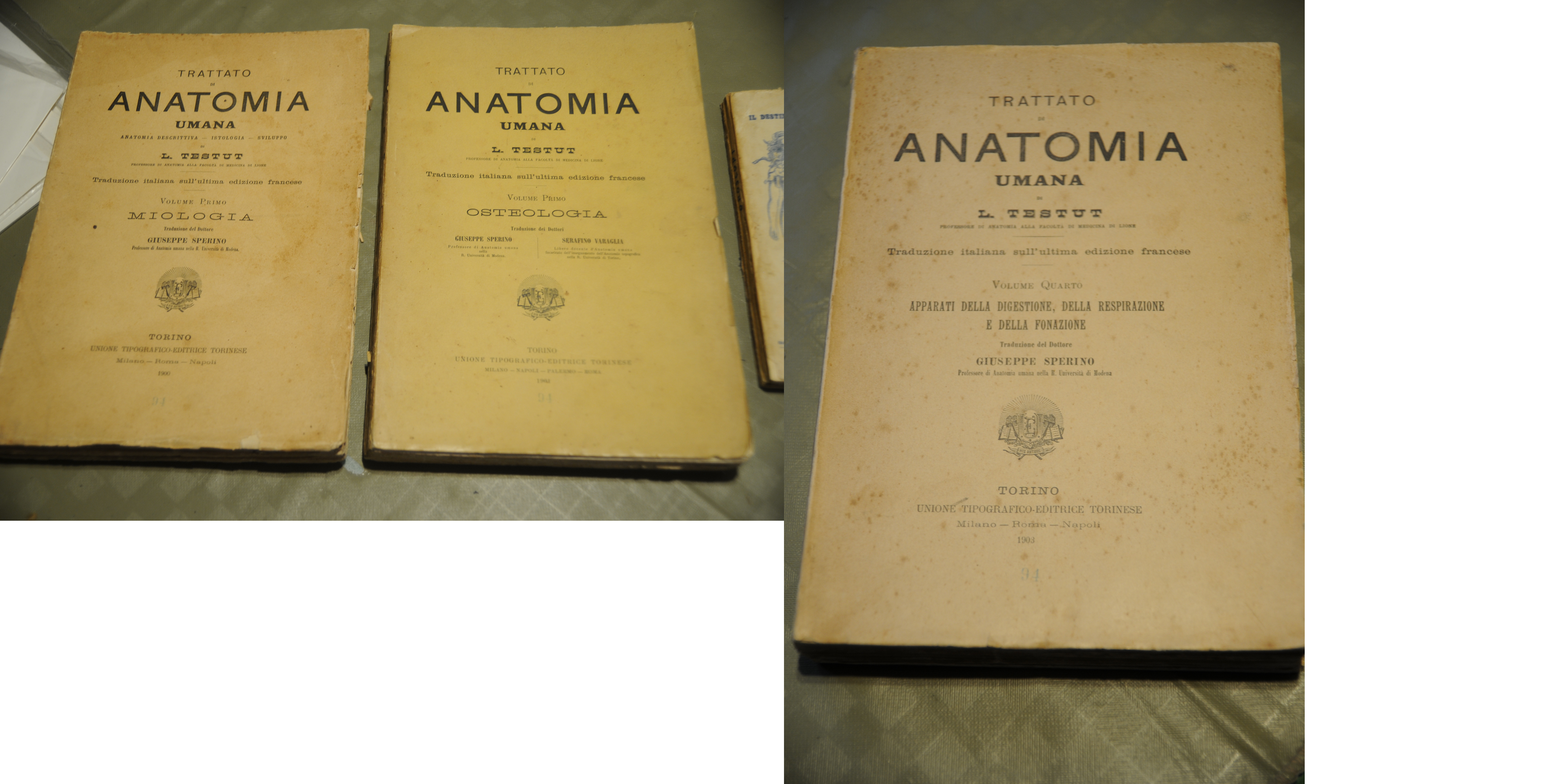 3 voll. trattato di anatomia umana miologia osteologia apparati della …