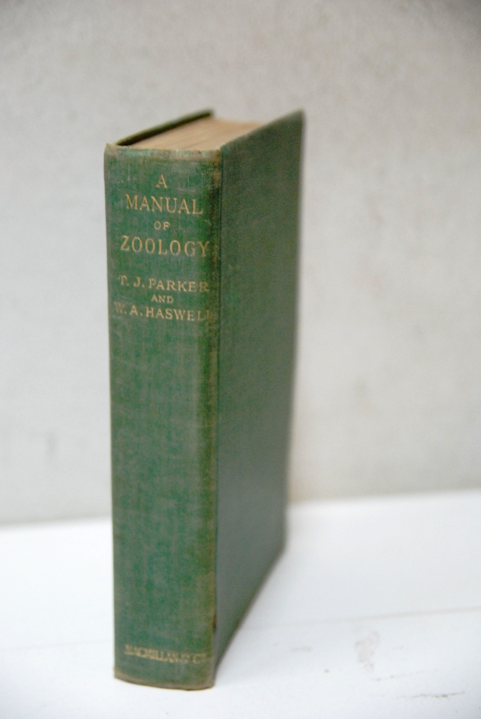 a manual of zoology with three hundred illustrations (qualche scritta …