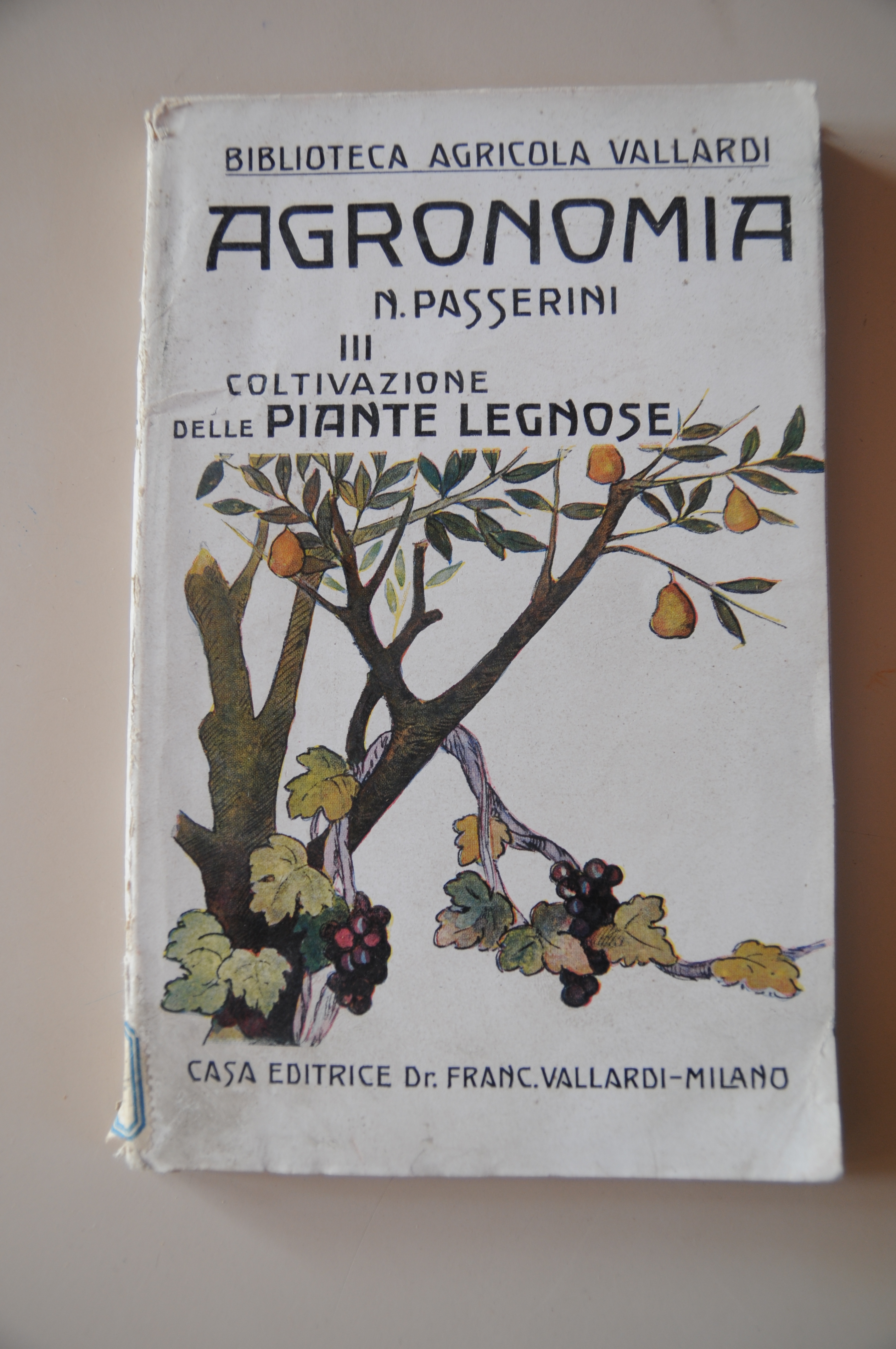 agronomia coltivazione delle piante legnose NUOVISSIMO
