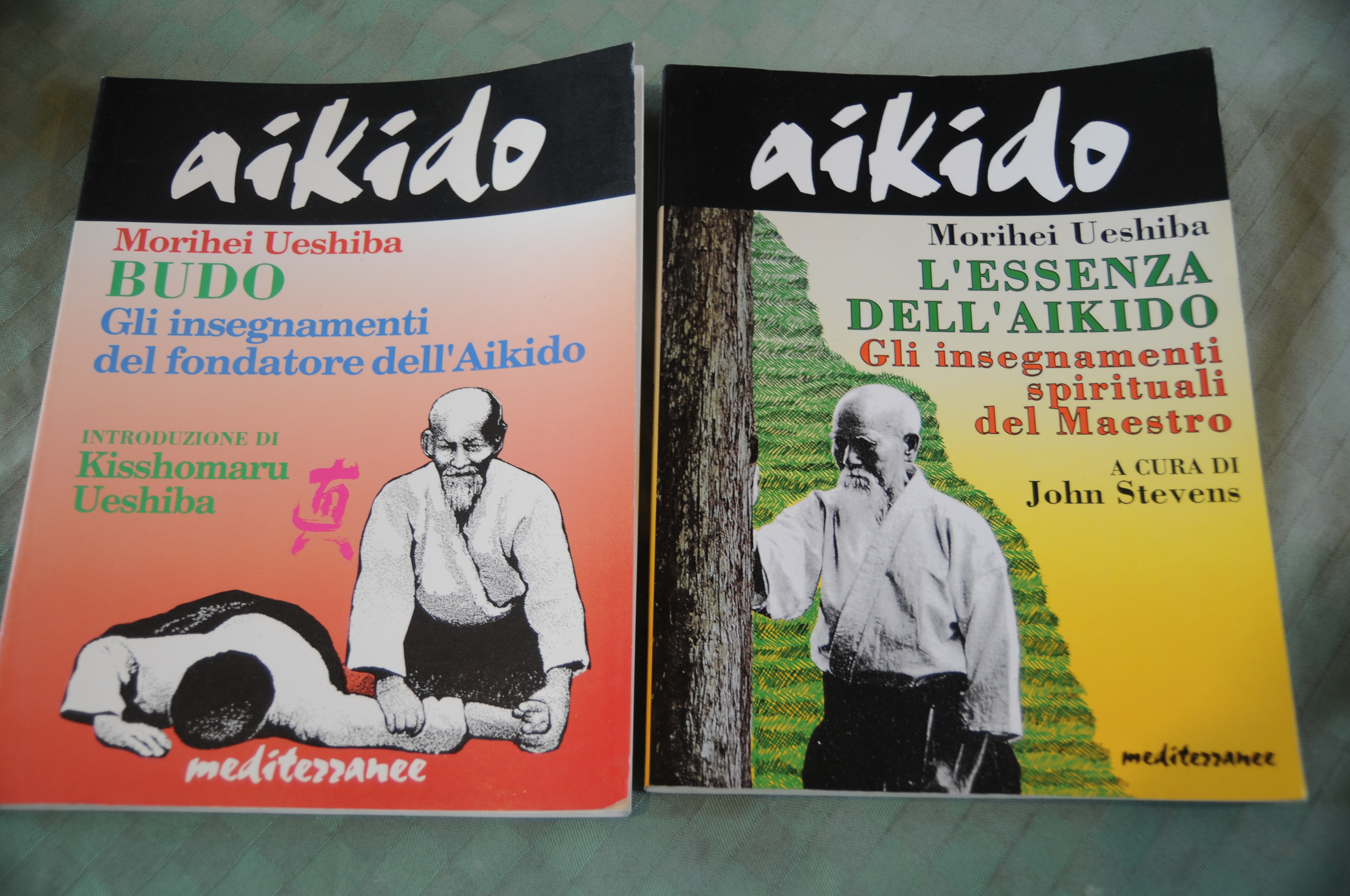 AIKIDO budo gli insegnamenti del fondatore e l'essenza spirituali del …