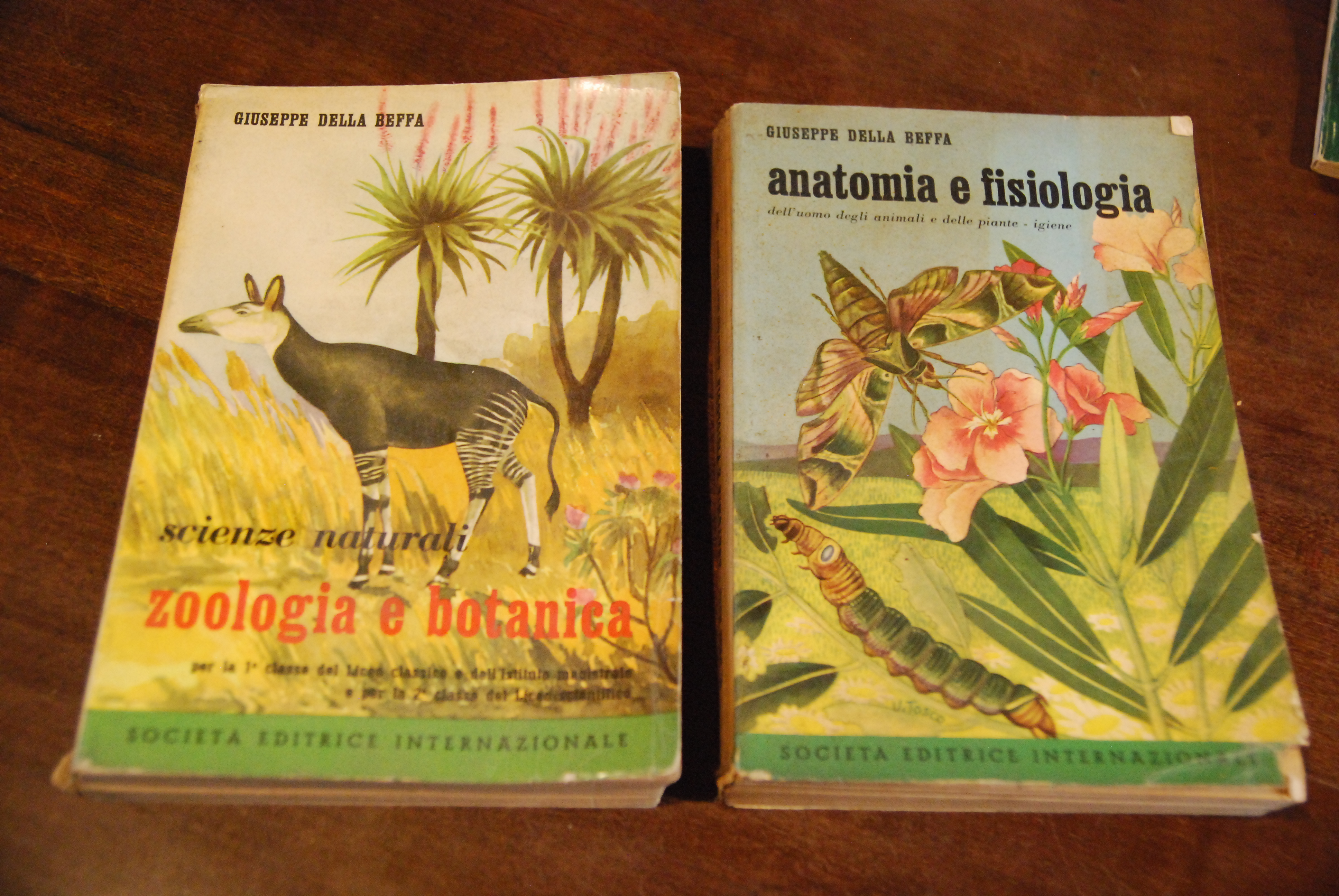 anatomia e fisiologia e zoologia e botanica