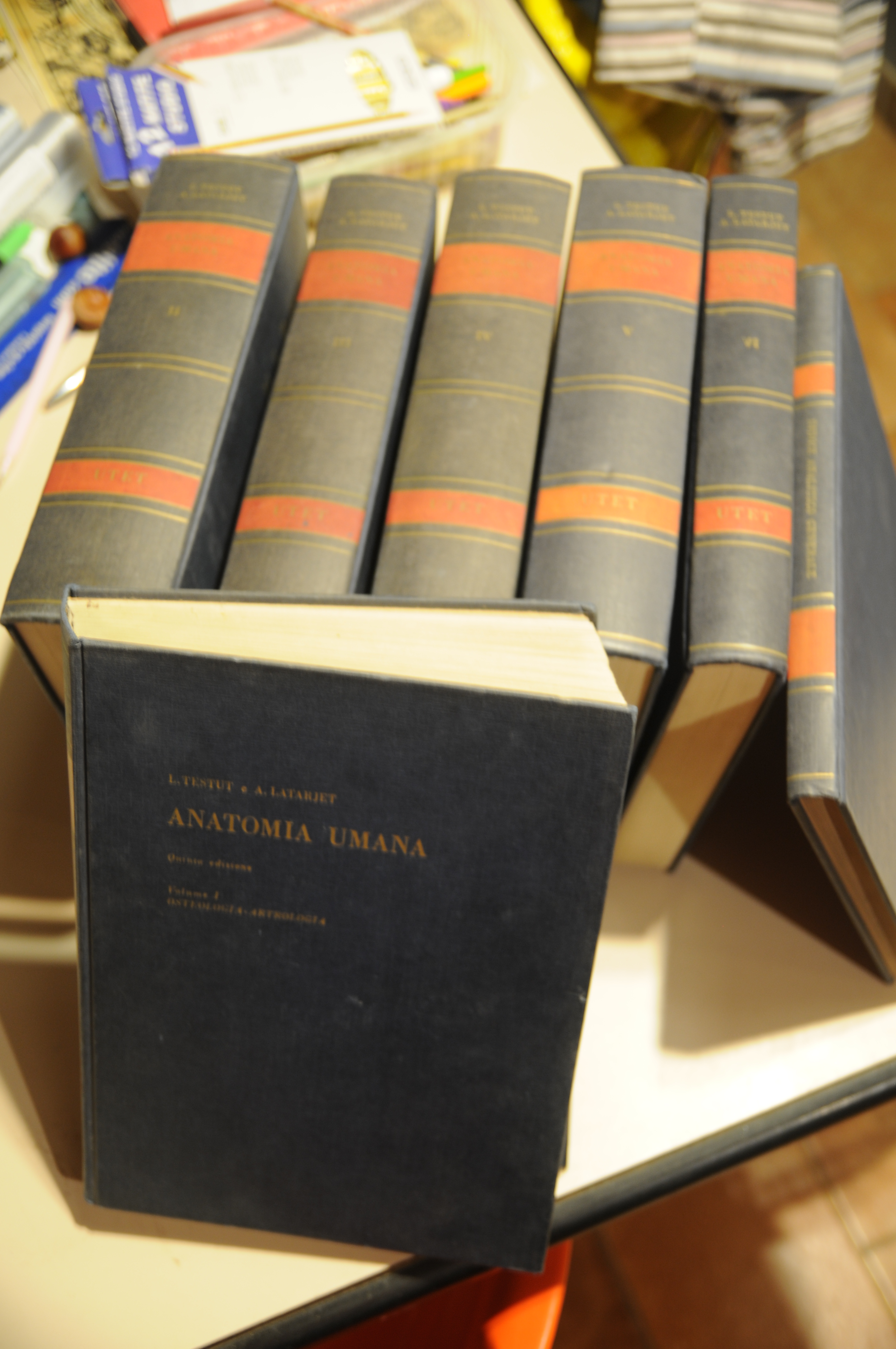 anatomia umana V edizione 6 voll. più indice NUOVI