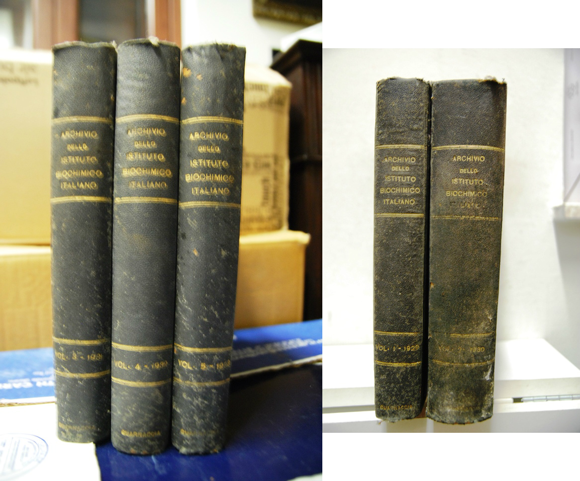 Archivio dell'Istituto Biochimico Italiano