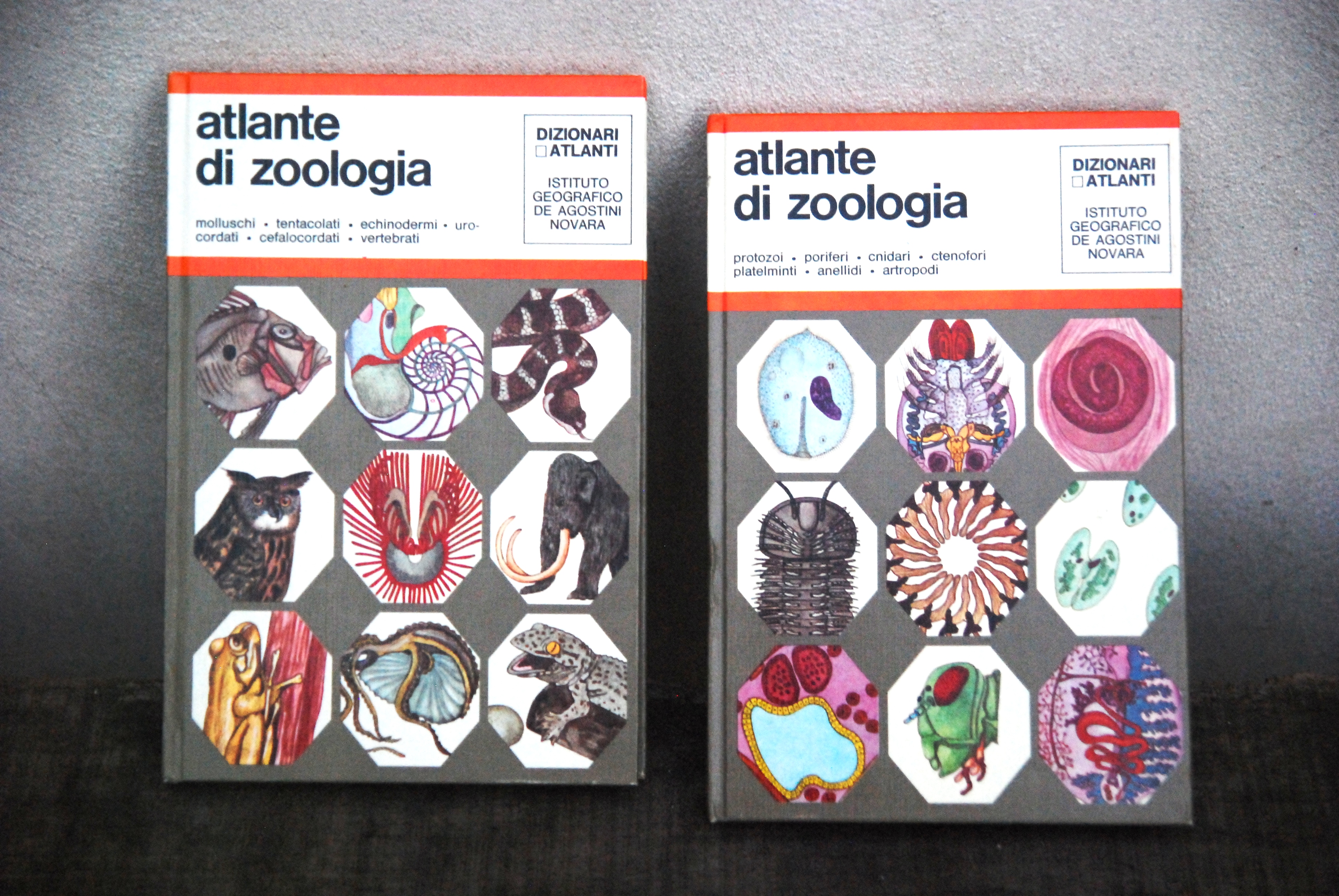 atlante di zoologia 2 voll. opera cpl. NUOVISSIMI