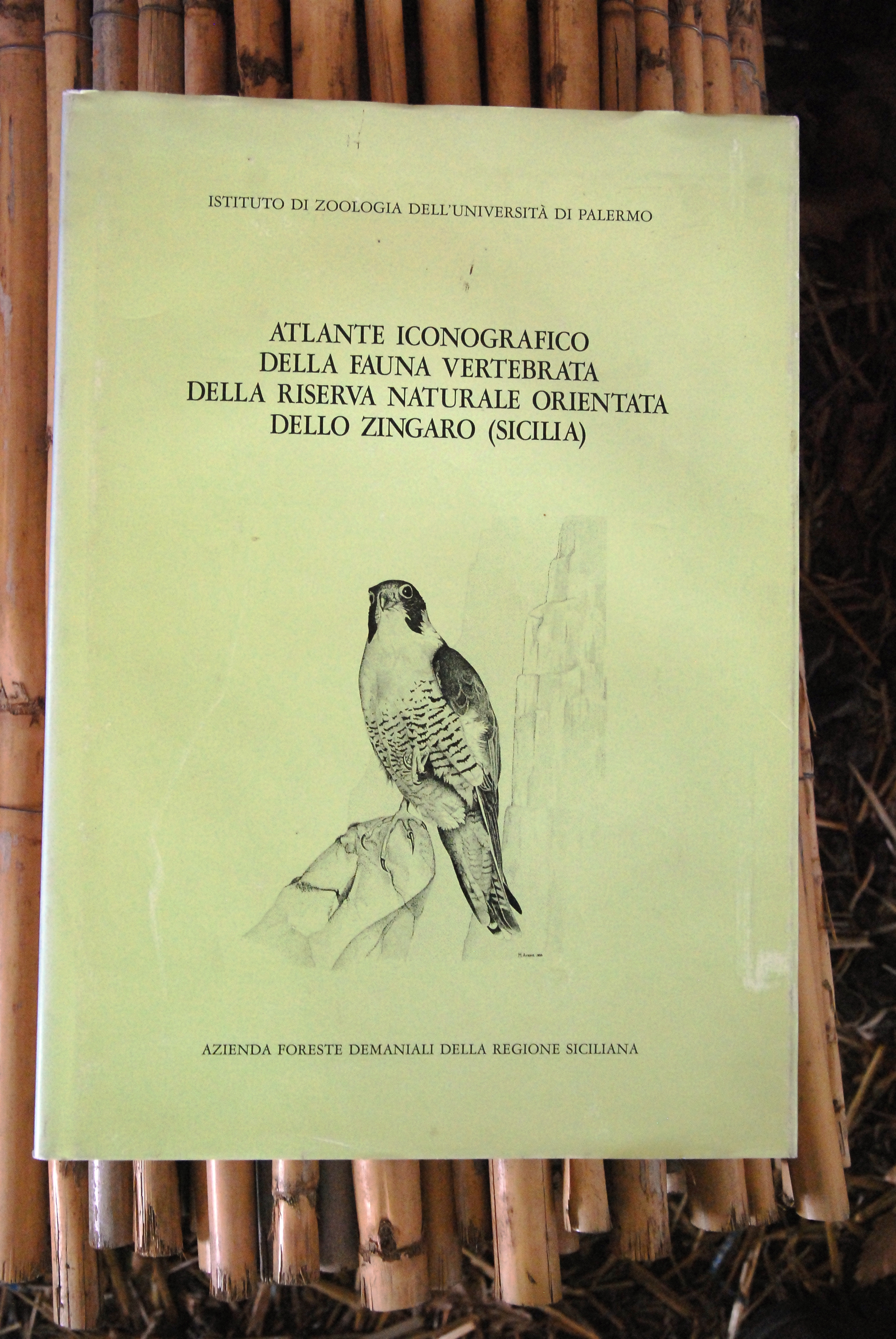 atlante iconografico della fauna vertebrata della riserva naturale orientata dello …