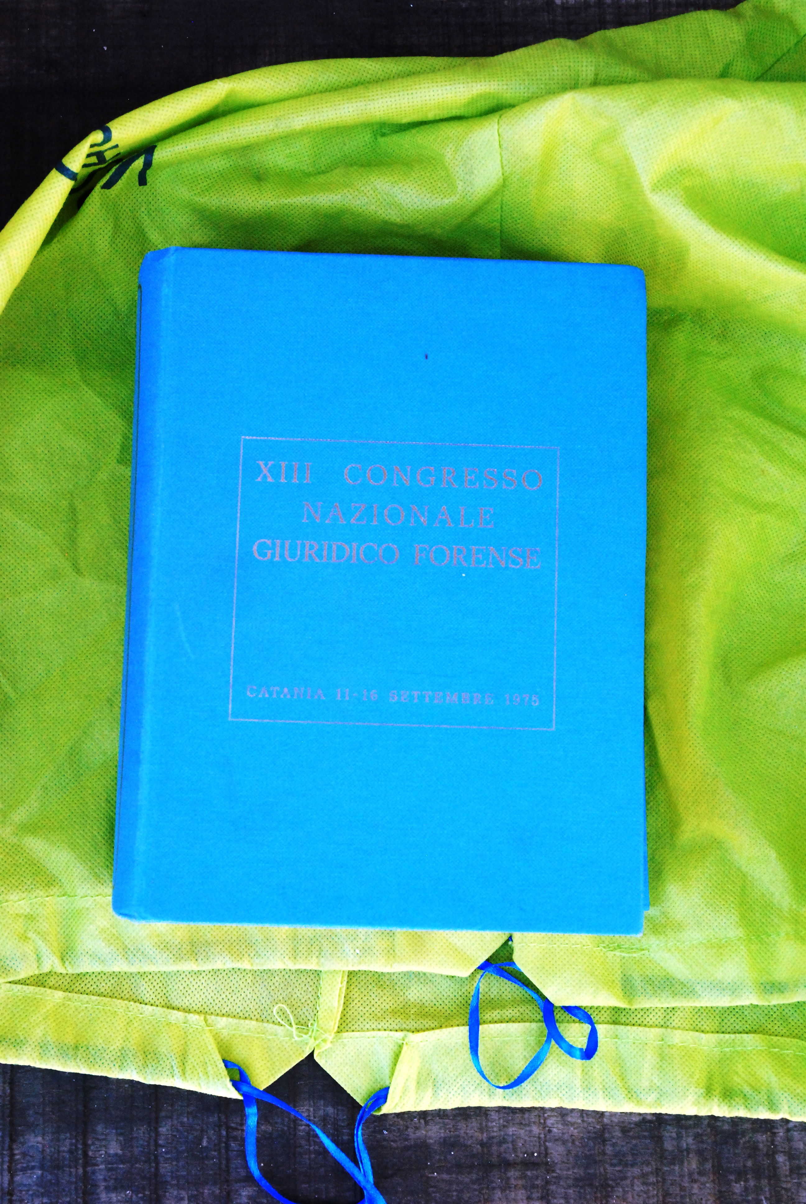 atti del XIII CONGRESSO NAZIONALE GIURIDICO FORENSE