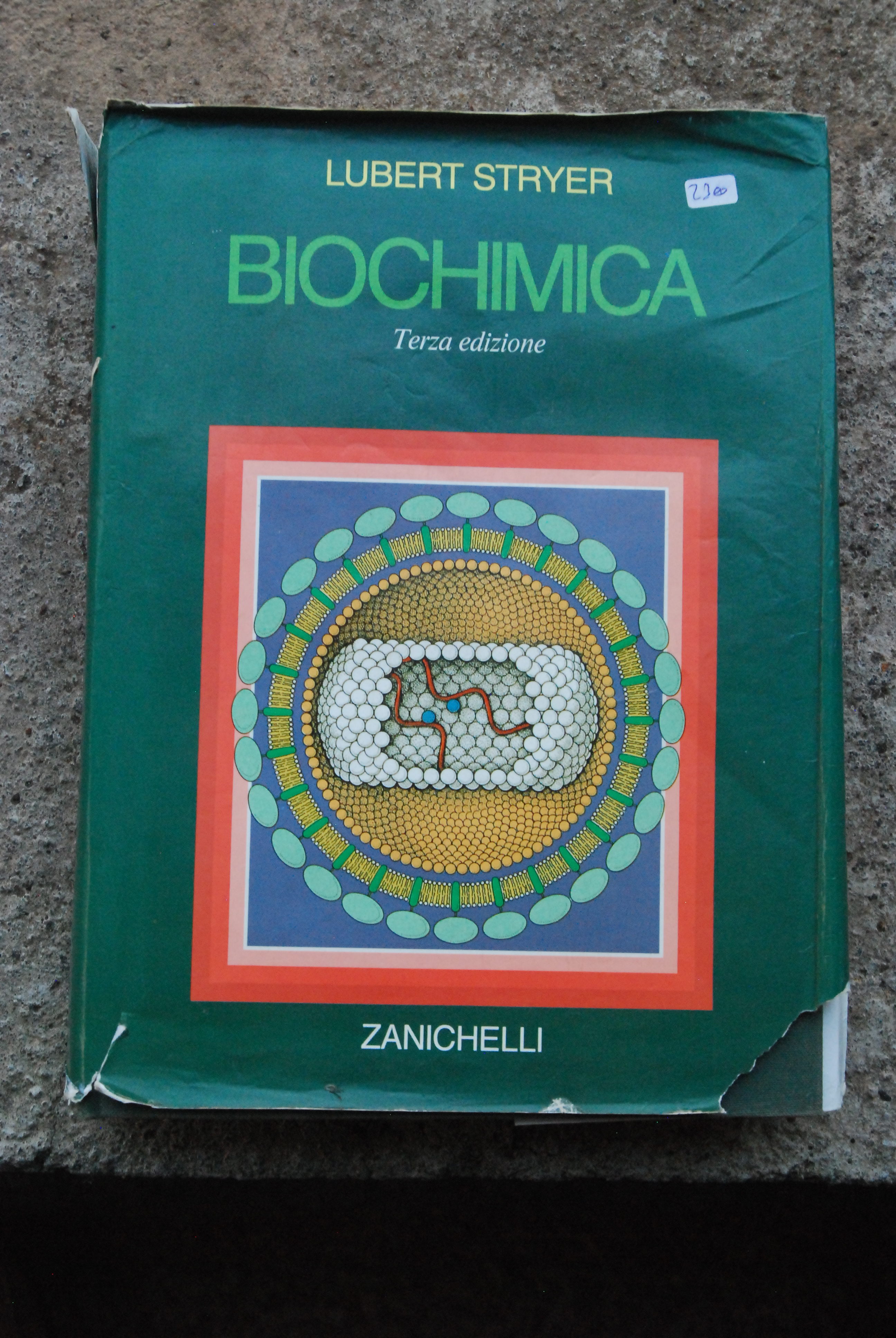 biochimica 3 ediz. sottolineature a penna