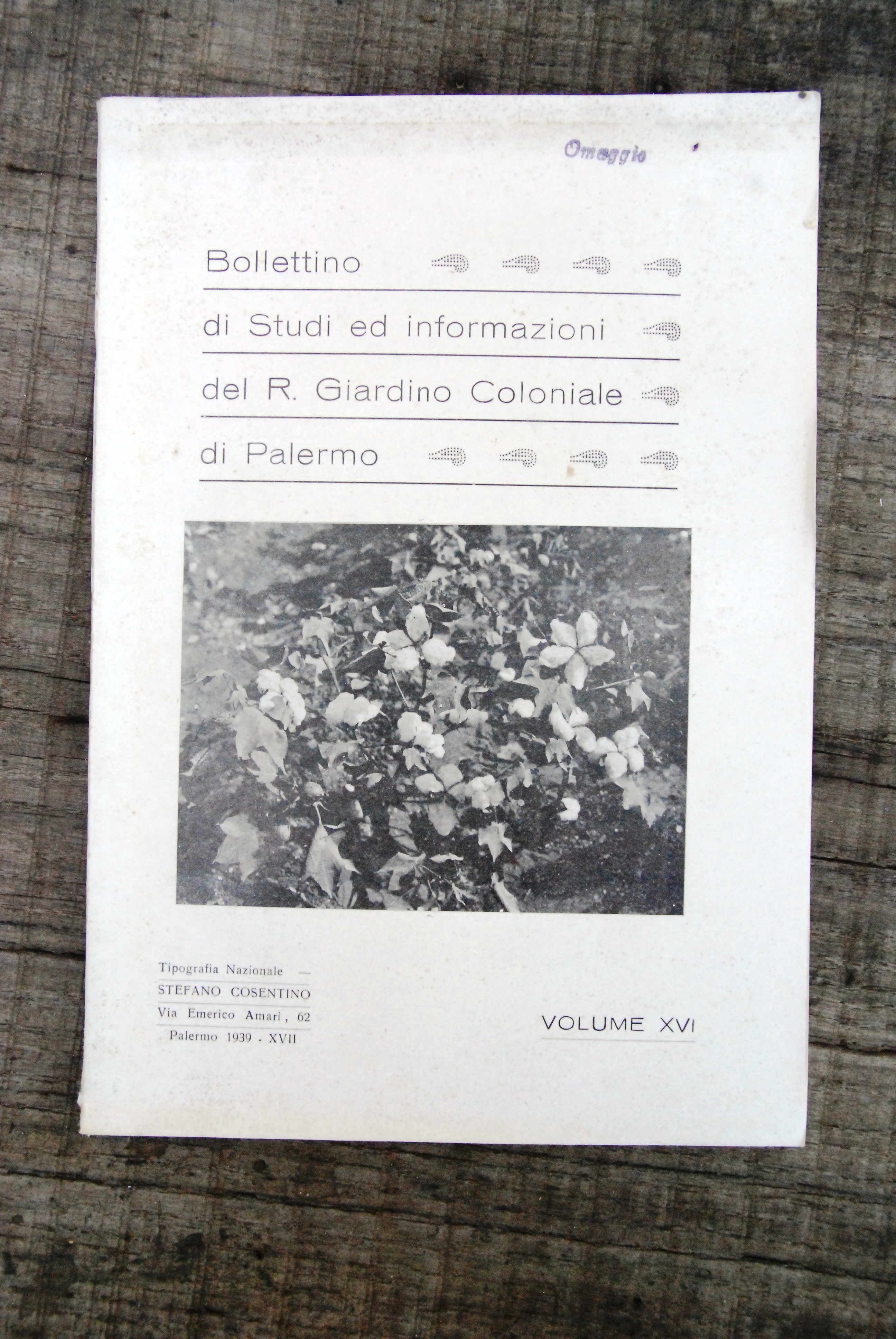 bollettino di studi ed informazioni del R. giardino coloniale di …