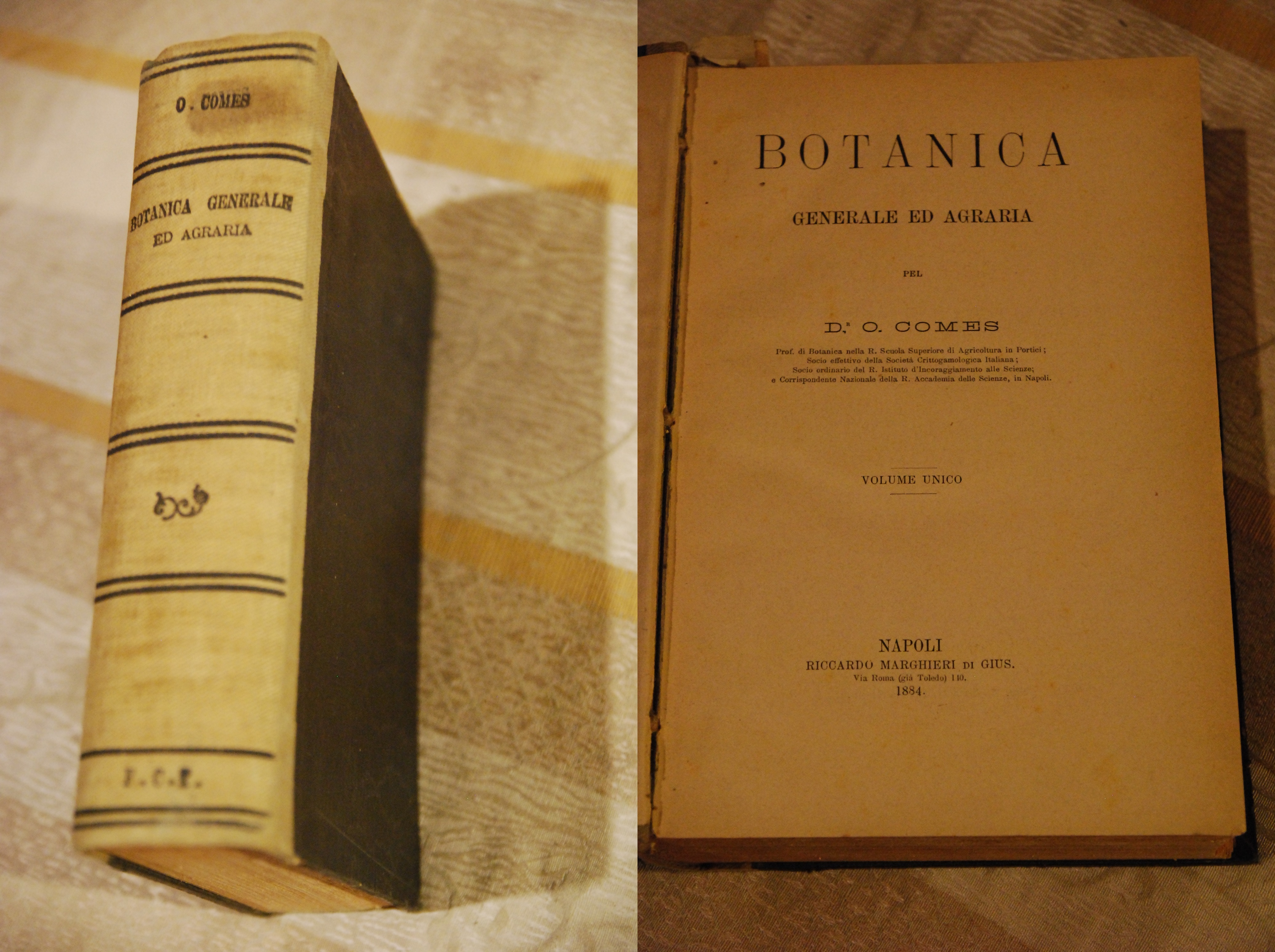 botanica generale ed agraria NUOVO vol. unico 1 ed.